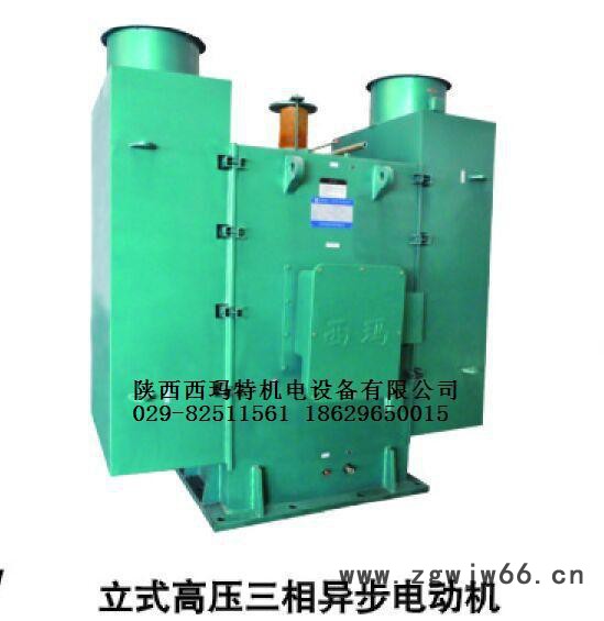 **西玛电机6KV IP23 高压三相异步电机Y4507-10-280图2