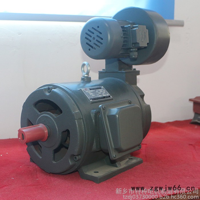特种电机 力矩电机 伺服力矩电机 交流三相异步电机 三相交流异步电机 **商品图2