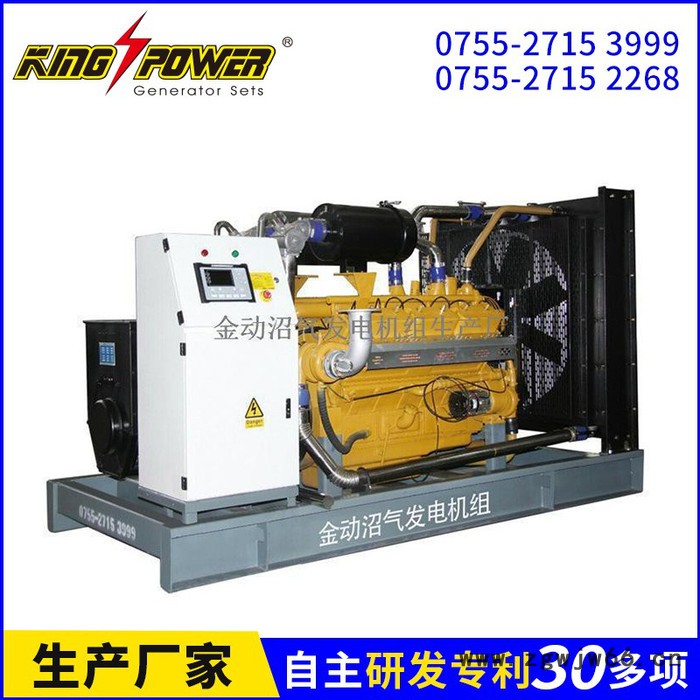 专业供应TCG2020 V12C   进口曼海姆沼气发电机  800KW 天燃气沼气发电机图5