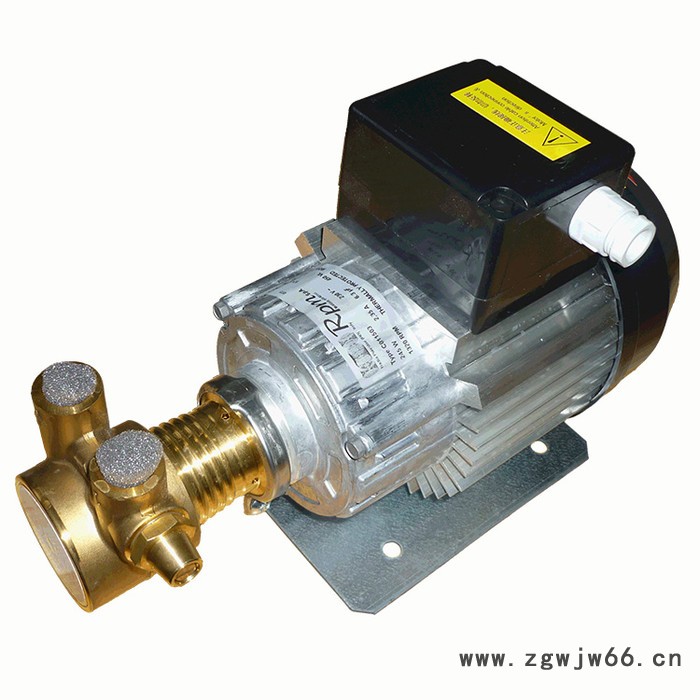 供应 旋转叶片PR泵4AS配进口单相电机245W 欢迎来电咨询 旋转叶片泵图2