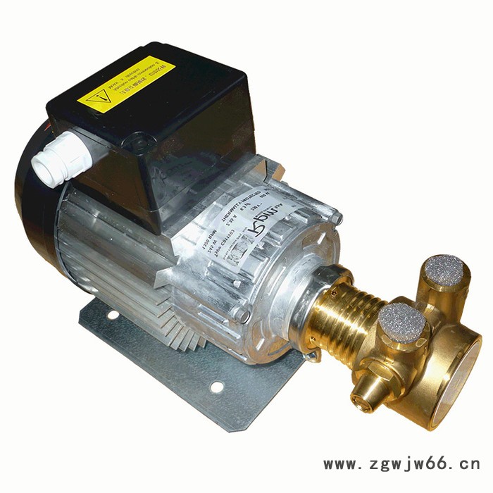 供应 旋转叶片PR泵4AS配进口单相电机245W 欢迎来电咨询 旋转叶片泵图3