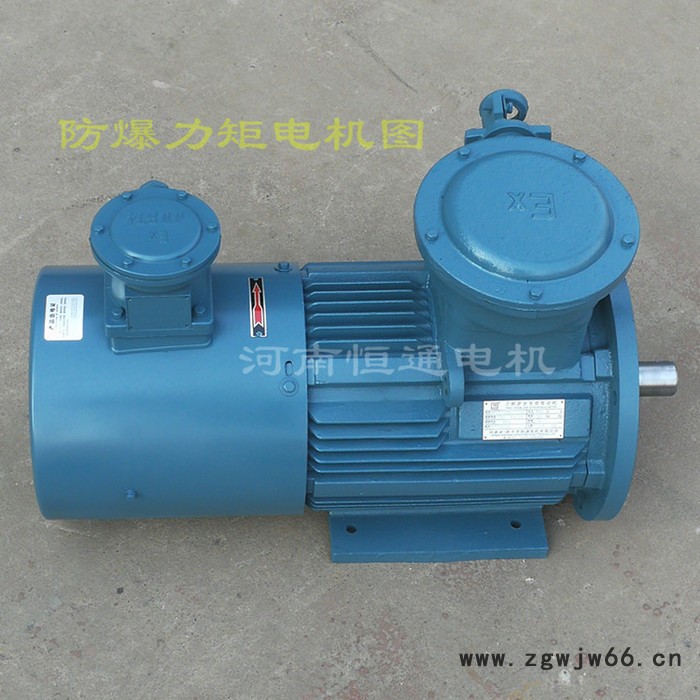 千业牌 杭州力矩电动机 定做出口及进口电机改造韩国 日本 台湾力矩电机 质量三包图4