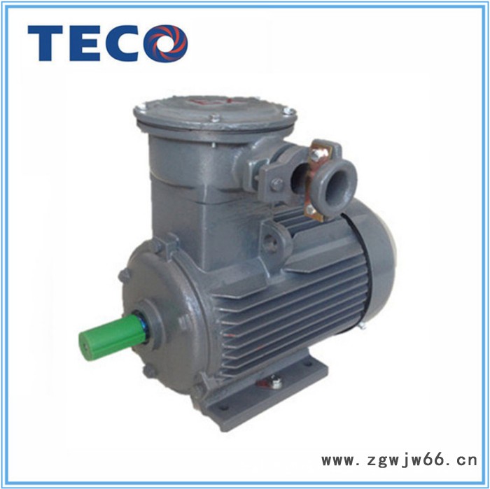 现货供应 东元电机 TECO 东元防爆三相异步电机 0.75KW 2P图4