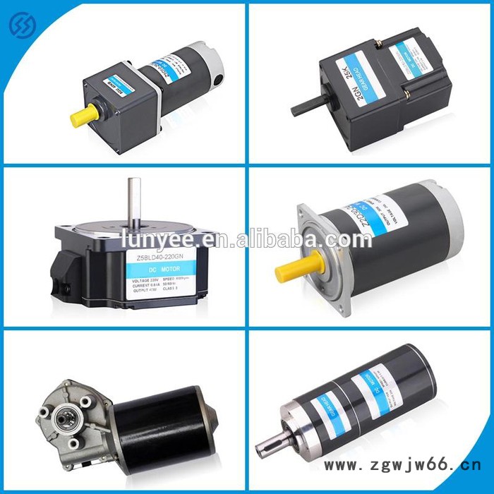 仑业微型电机6w10w15w25w30w40直流电机高压反应釜电机双层反应釜专用电机旋转蒸发仪专用电机电动搅拌器专用电机图8