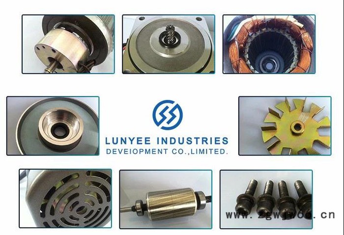 仑业微型电机6w10w15w25w30w40直流电机高压反应釜电机双层反应釜专用电机旋转蒸发仪专用电机电动搅拌器专用电机图4