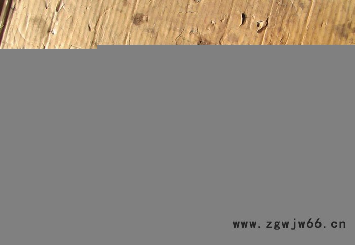 微型减速电机博山龙康电机直流电机电动机博山电机驱动器控制图2