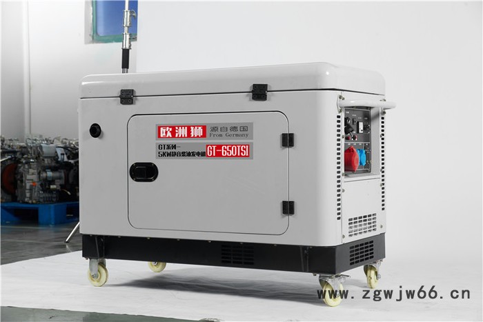 欧洲狮进口8kw柴油发电机厂家图2