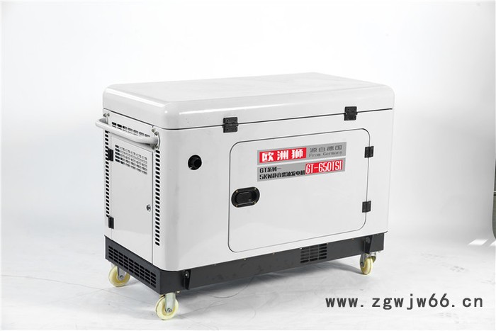 欧洲狮进口8kw柴油发电机厂家图4