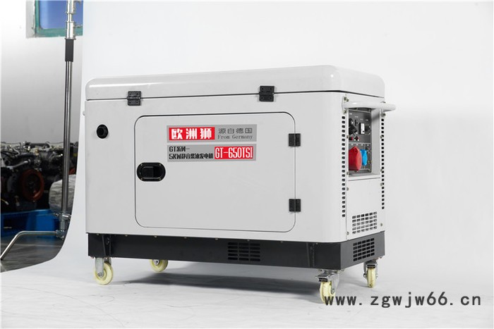 欧洲狮进口8kw柴油发电机厂家图5