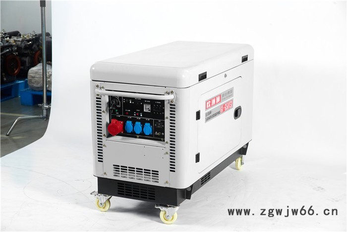 欧洲狮进口8kw柴油发电机厂家图7