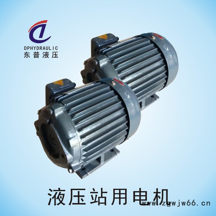 东普液压生产销售液压马达 1P0.75kw直流电机 齿轮室轴向马达图4
