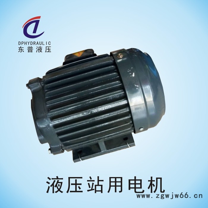 东普液压生产销售液压马达 1P0.75kw直流电机 齿轮室轴向马达图3