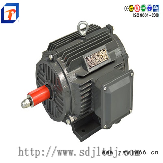金力特电机 电机厂三相异步电机高效节能电机电机维修国标电机图3