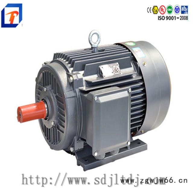 金力特电机 电机厂三相异步电机高效节能电机电机维修国标电机图5