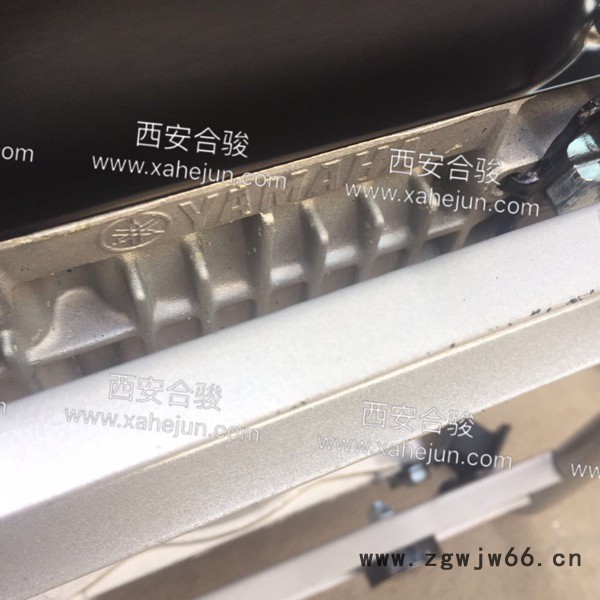 陕西西安 博格西玛EF6600 雅马哈原装进口动力5KW汽油发电机组图2