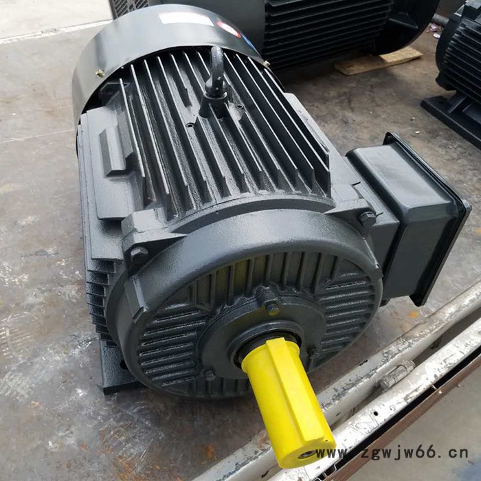 金力特YD132S-4/2变极多速三相异步电机图3