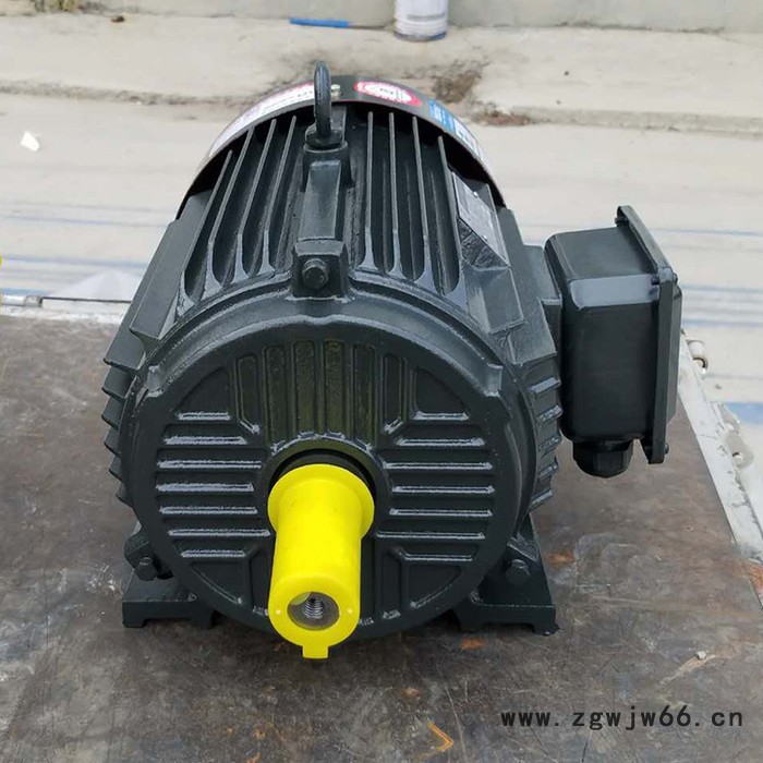 金力特YD112M-4/2变极多速三相异步电机图5