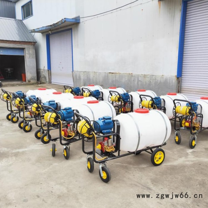 棉花打药机 山地果园打药机 进口水田打药撒肥机铜芯电机图3