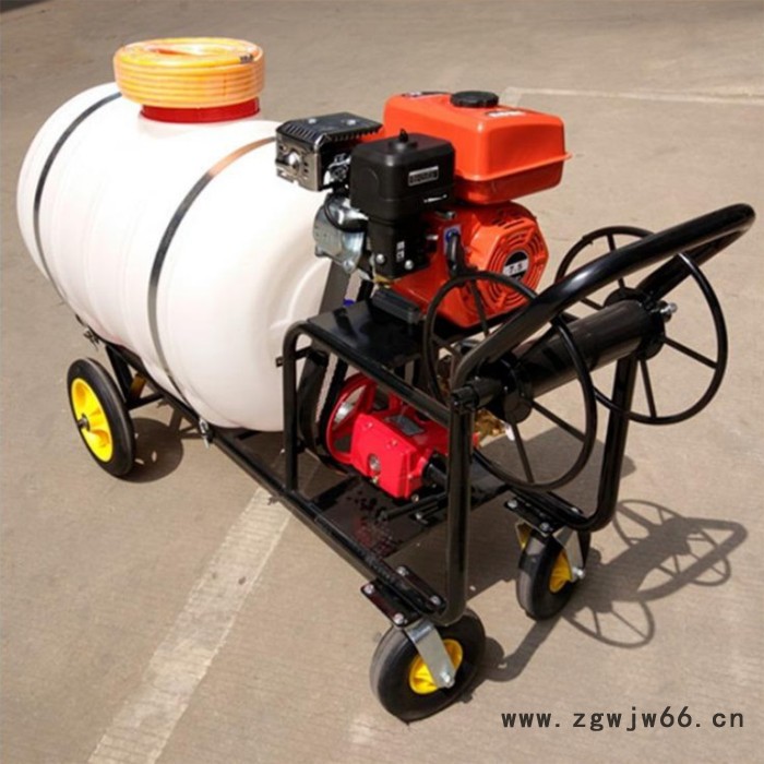 棉花打药机 山地果园打药机 进口水田打药撒肥机铜芯电机图4