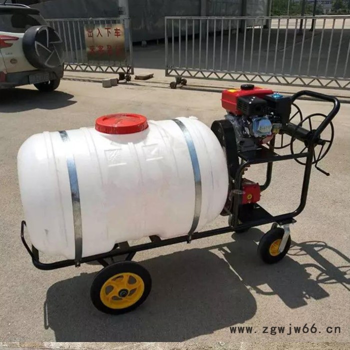 棉花打药机 山地果园打药机 进口水田打药撒肥机铜芯电机图5