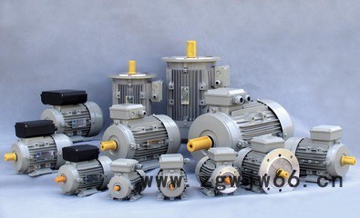 供应JIAMUSIY200L1-6Y2三相异步电机 电机厂家图2