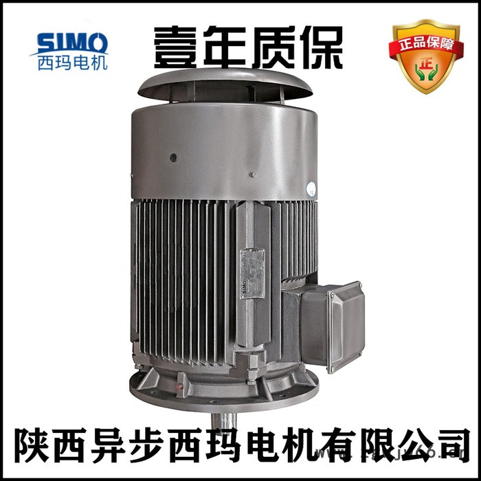 苏州西玛电机YVFE2-315L2-6/132KW/5-100HZ/F级绝缘变频调速三相异步电机图1