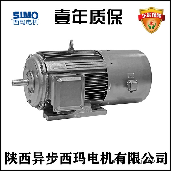 苏州西玛电机YVFE2-315L2-6/132KW/5-100HZ/F级绝缘变频调速三相异步电机图2