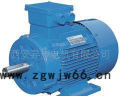 专业笼型转子三相异步电机YKS5003-2 西玛全国电机直销图2