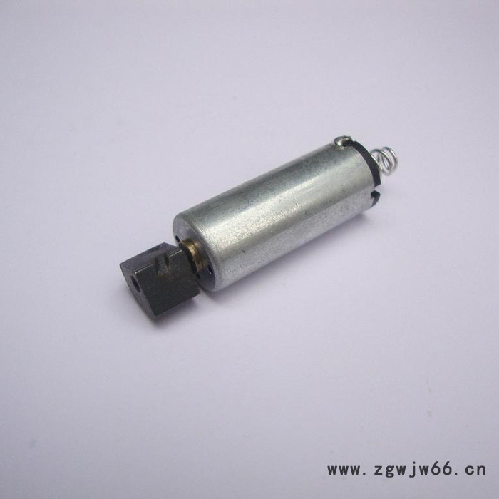 厂家供应1230微型直流电机 美容棒微型马达图2