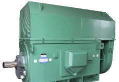 新疆专业电机Y系列Y5602-4 1800KW 6KV 高压三相异步电机图2