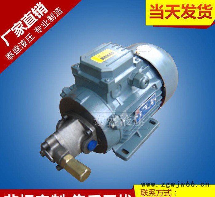 RHB-4JZ润滑摆线油泵电机组 TOP-10A直流电机油泵图3