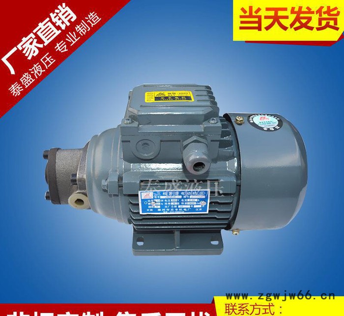 RHB-4JZ润滑摆线油泵电机组 TOP-10A直流电机油泵图2