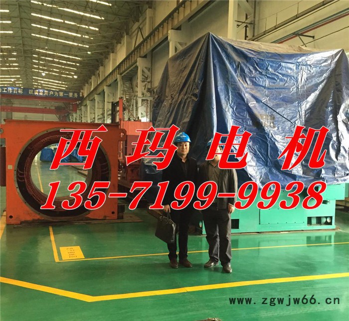 西安泰富西玛电机YVF6303-8 1120KW 6KV变频调速高压三相异步电机图1