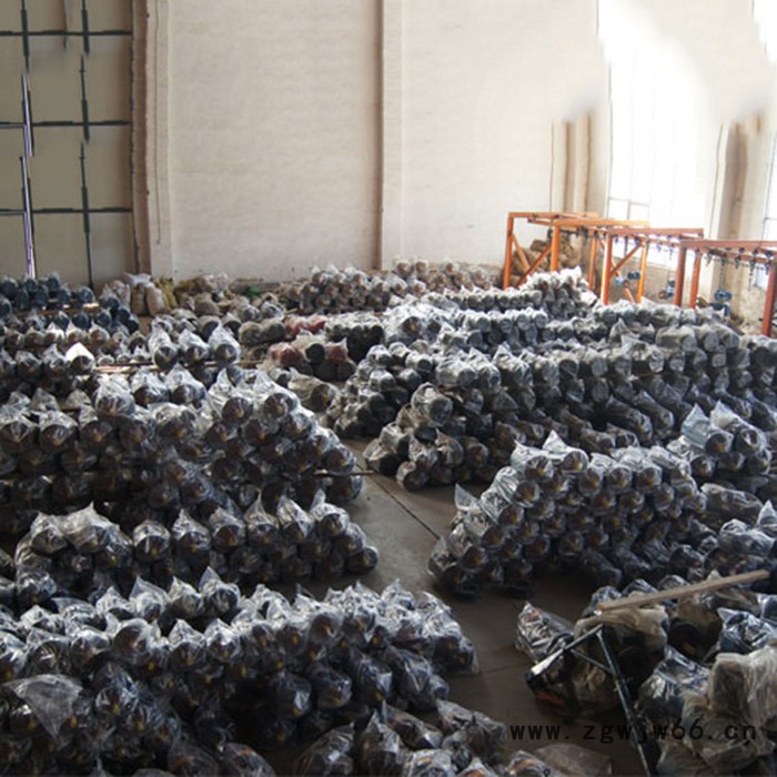 金力特YB8022系列隔爆型三相异步电机图5