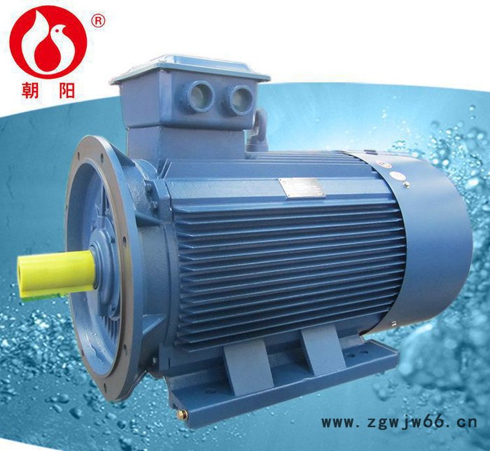 惠民政策推广单位湖南朝阳电机YE3-80M1-2级高效节能三相异步电机 电动机图3