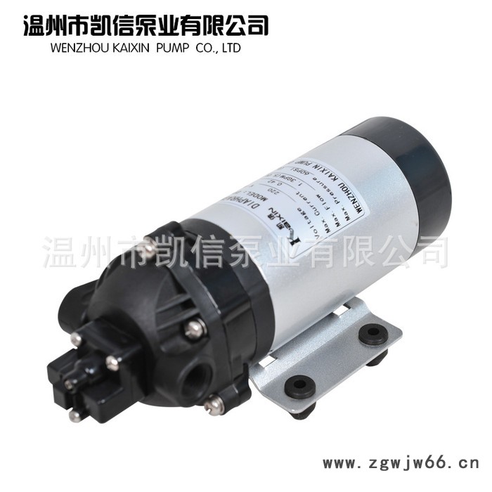 批量无刷隔膜泵 DP-60-200 高压无刷电机隔膜泵图2