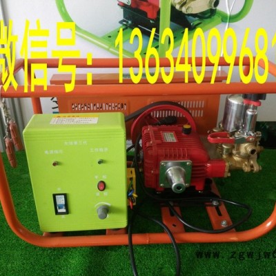 48V打药机直流无刷电机喷雾机 便携式打药机 48v打药机