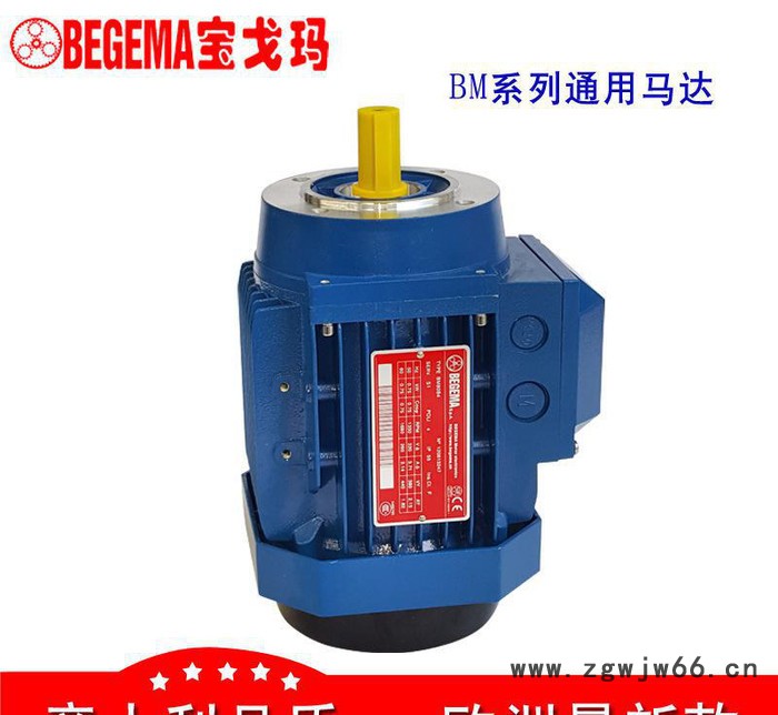 西安厂价直销意大利BEGEMA宝戈玛工业三相异步电机立卧式370w原装图2