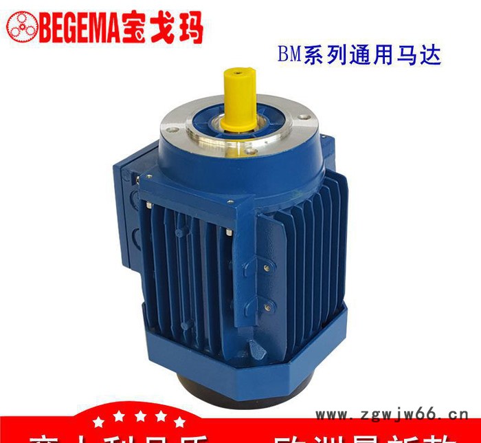 西安厂价直销意大利BEGEMA宝戈玛工业三相异步电机立卧式370w原装图3