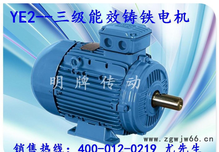 电动机0.37kw~90KW2级4级Y2系列三相异步电机铸铁图3