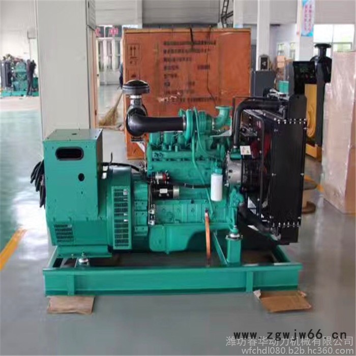 供应 139-5369-7600柴油发电机组 玉柴系列YC4D85-D20柴油发动机 无刷电机 春华（50GF）发电机组图3