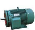零售 Y系列132S,5.5千瓦4极三相异步电机图2