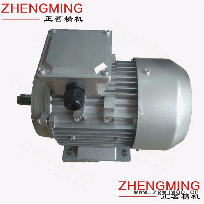 正茗精机YS-8024-750w三相异步微型电机 三相食品机械专用异步电机图2