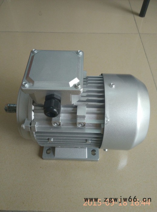 正茗精机YS-8024-750w三相异步微型电机 三相食品机械专用异步电机图3