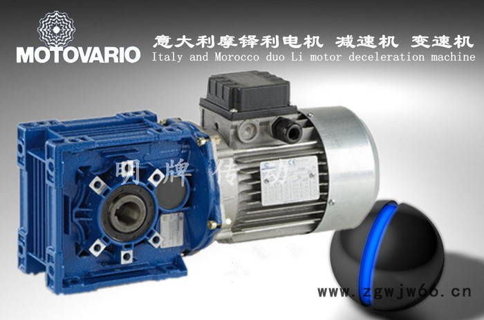 意大利摩多利电机 原装MOTOVARIO电机 原装进口MOT图2