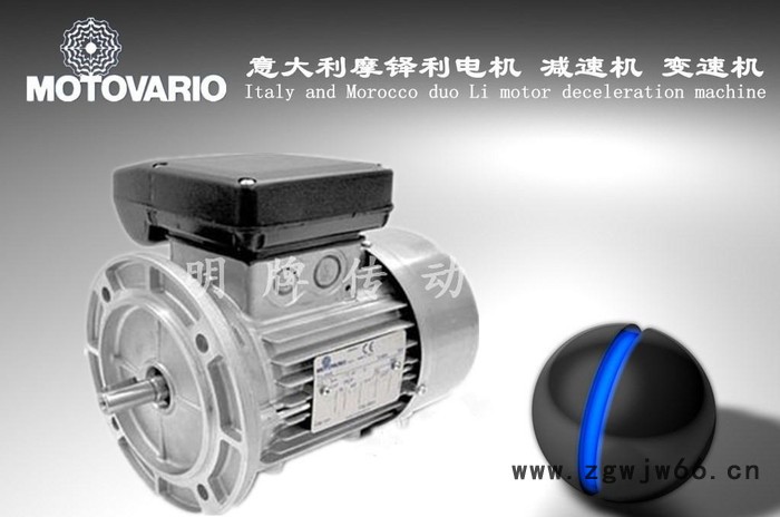 意大利摩多利电机 原装MOTOVARIO电机 原装进口MOT图3