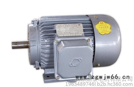 Y2系列三相异步电机   Y2 801-2 电机   0.75kw图3