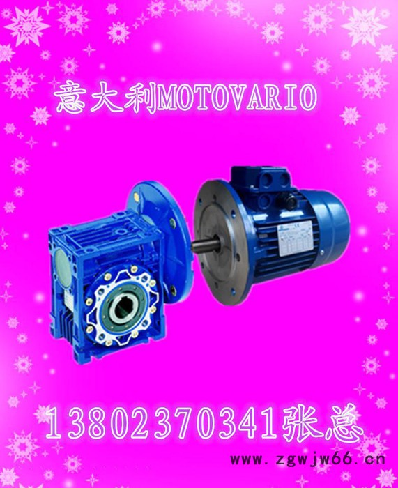 T80C4-1.1KW意大利MOTOVARIO进口电机图2