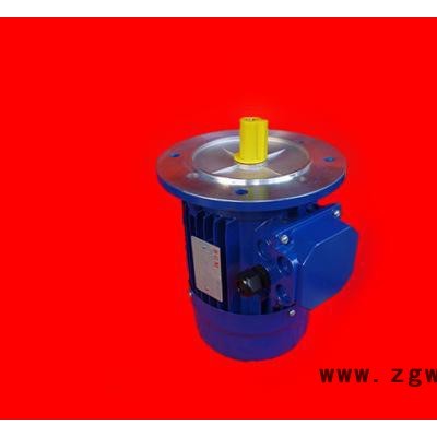 原装进口B&M电机耐高温马达