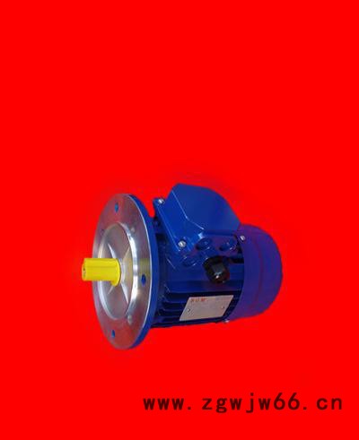 原装进口B&M电机耐高温马达图2